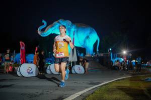 BIB: 
                            <button type="button" onclick="openModal(26551796)" class="btn btn-primary btn-sm float-right btn-popup" data-toggle="modal" data-target=".modal-high-quality">
                        <i class="fas fa-shopping-cart"></i> Add to Cart
                    </button>
                                            <button type="button" onclick="isThisMe(26551796, true)" class="btn btn-success btn-sm float-right btn-popup btn-isme hidden" data-toggle="tooltip" data-placement="bottom" title="นี่คือรูปของคุณใช่ไหม คลิกที่นี่เพื่อเอาเข้าอัลบั้ม">
                        <i class="fas fa-plus"></i> Add to album
                    </button>
                    <button type="button" onclick="isThisMe(26551796, false)" class="btn btn-warning btn-sm float-right btn-popup btn-isnotme hidden">
                        <i class="fas fa-ban"></i> Remove from album
                    </button>